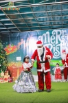 Merry Christmas 2024 - Ghi dấu mùa Giáng sinh an lành Hoa Trạng Nguyên